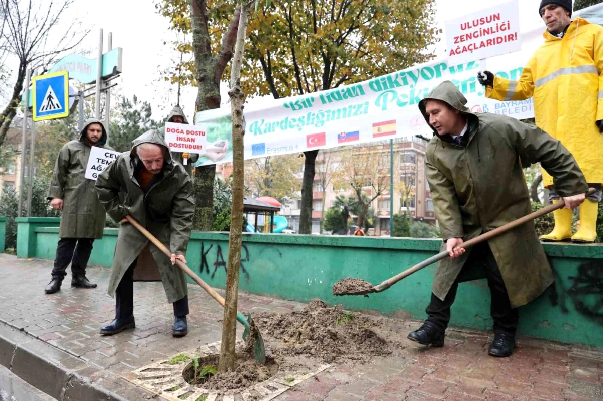 Bayrampaşa Belediyesi 2023 fidan dikmeye devam ediyor