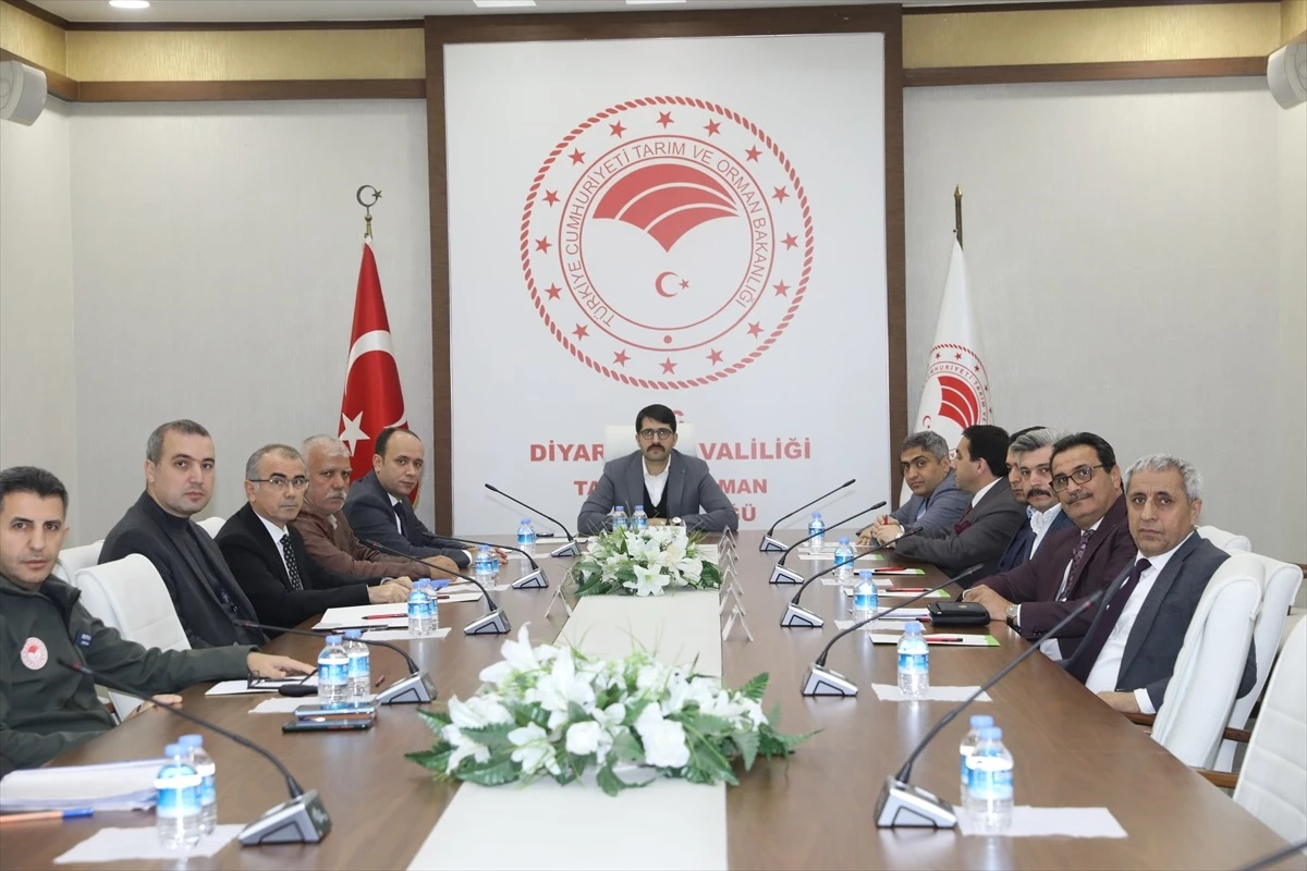 Diyarbakır\'da kuduz hastalığı ile mücadele toplantısı düzenlendi