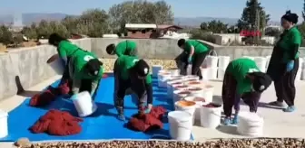 Depremzede Kadınlar Sebze ve Meyve İşleyerek Geçim Sağlıyor