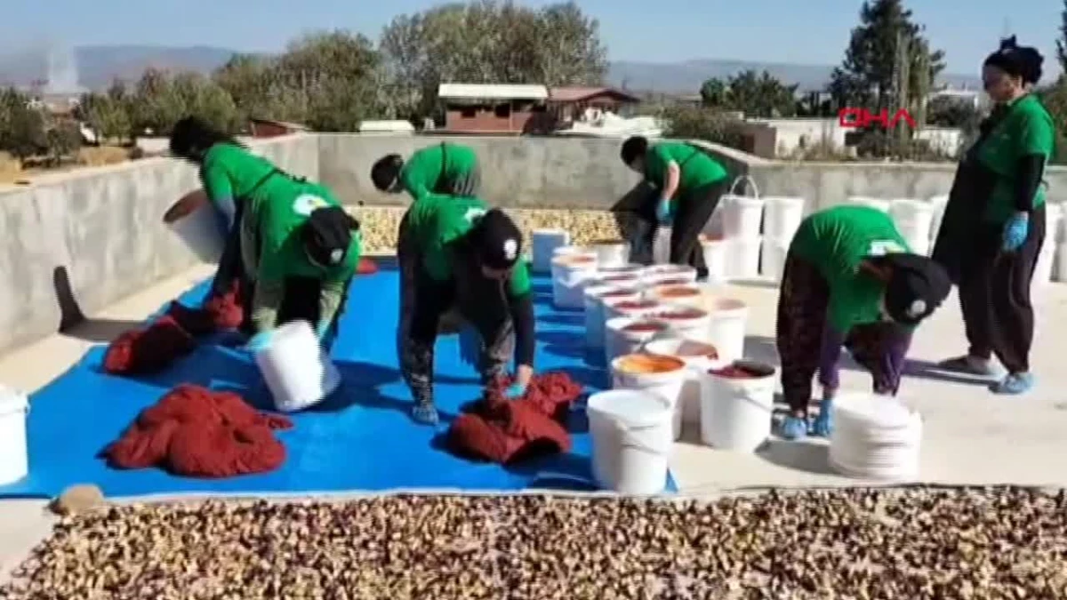 Depremzede Kadınlar Sebze ve Meyve İşleyerek Geçim Sağlıyor