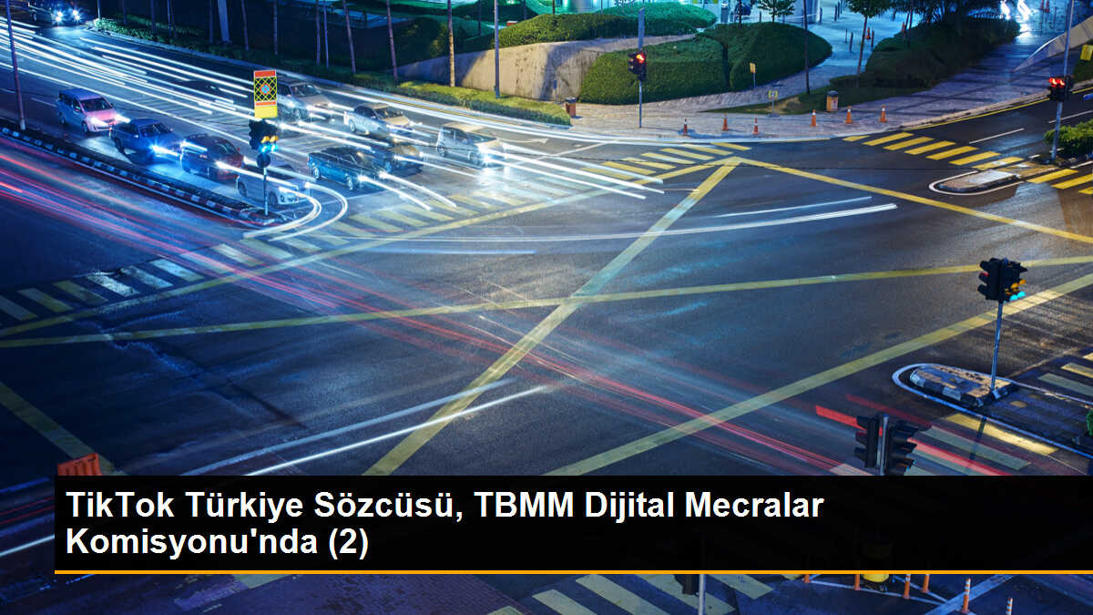 TikTok Türkiye Sözcüsü, TBMM Dijital Mecralar Komisyonu\'nda (2)