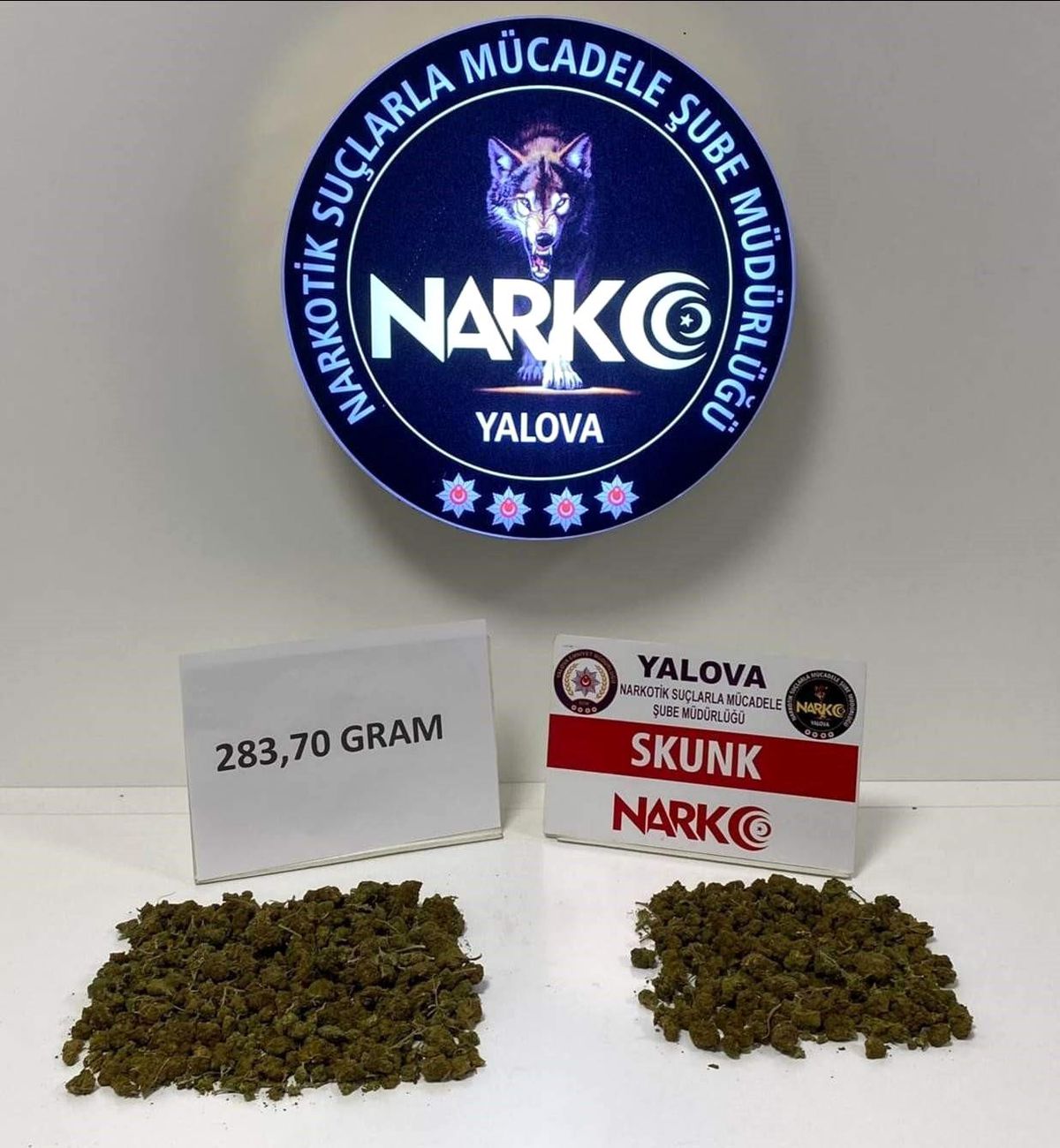 Yalova\'da uyuşturucu operasyonu: 283,70 gram skunk ele geçirildi