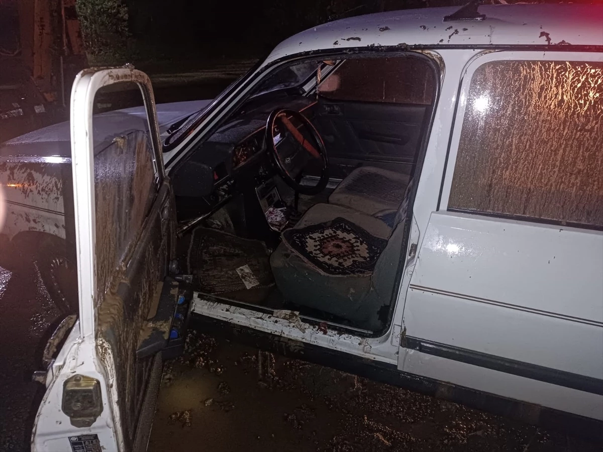 Aydın\'da otomobil devrildi, sürücü yaralandı