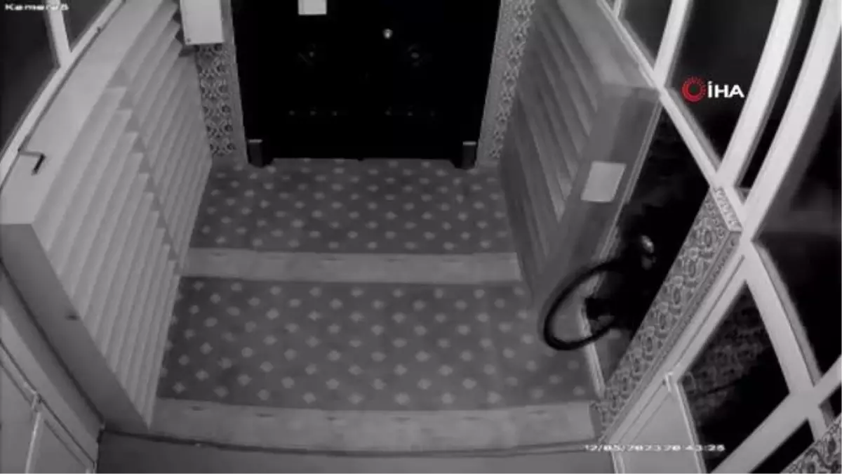 Ordu ve Giresun\'da 4 camiden hırsızlık yapan şahıs adli kontrol şartıyla serbest bırakıldı