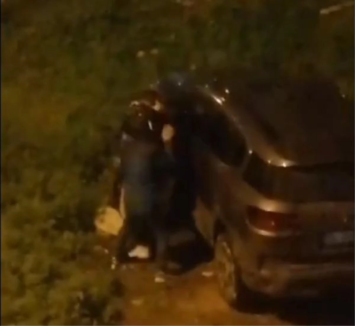 İstanbul\'da gece yarısı dehşet anları! Araya aldıkları genci dövüp bıçakladılar