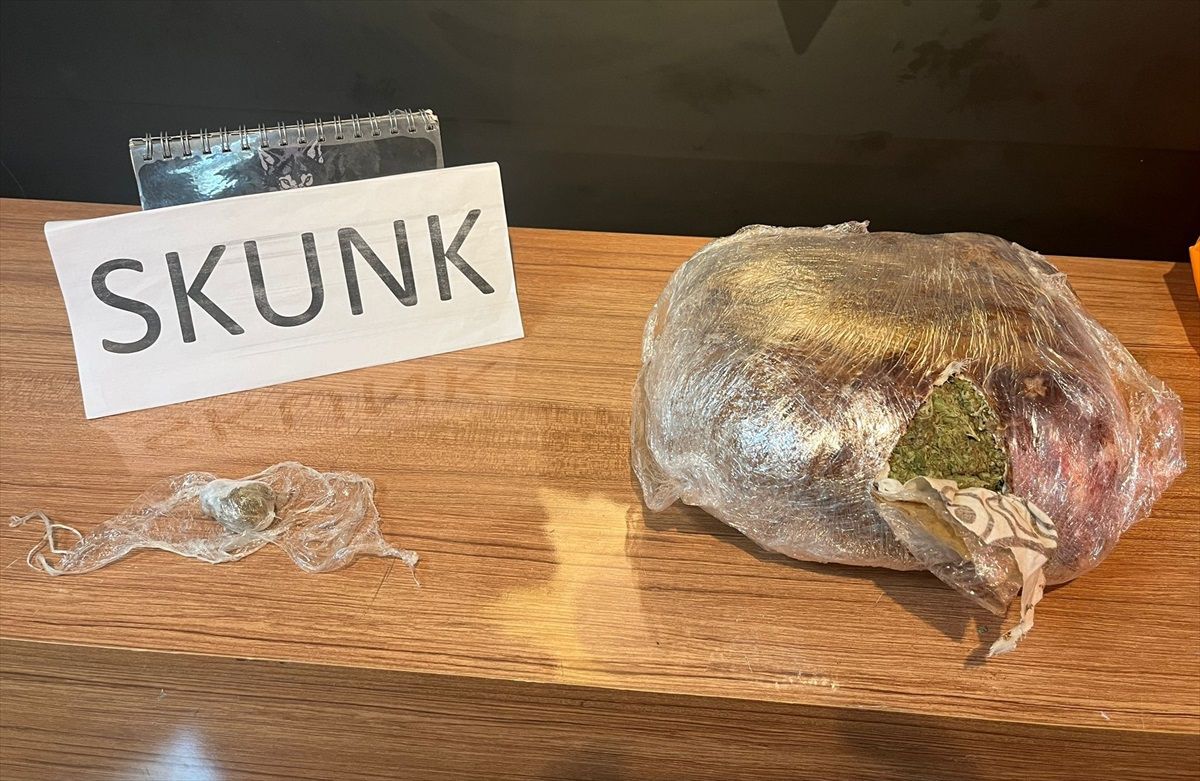Şanlıurfa\'da 4 Kilo 50 Gram Sentetik Uyuşturucu Ele Geçirildi