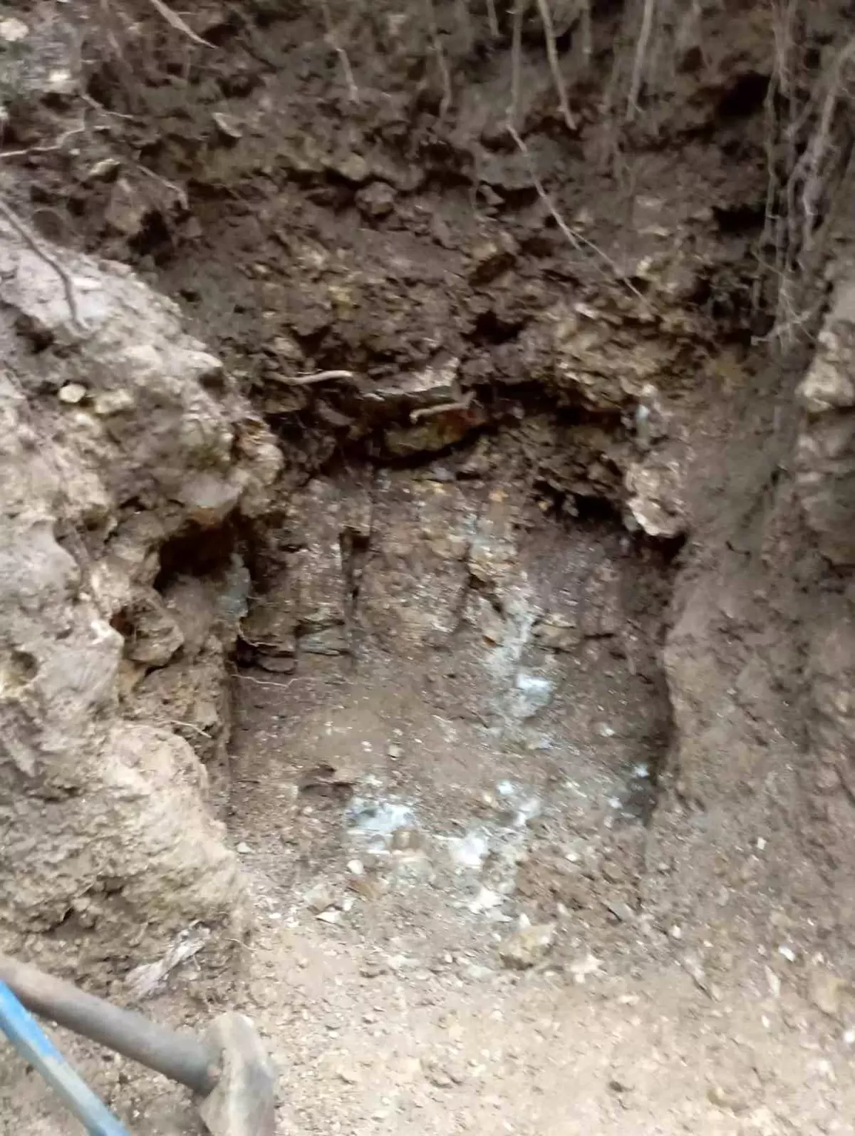 Yalova\'da kaçak kazı yapan 3 şüpheli suçüstü yakalandı