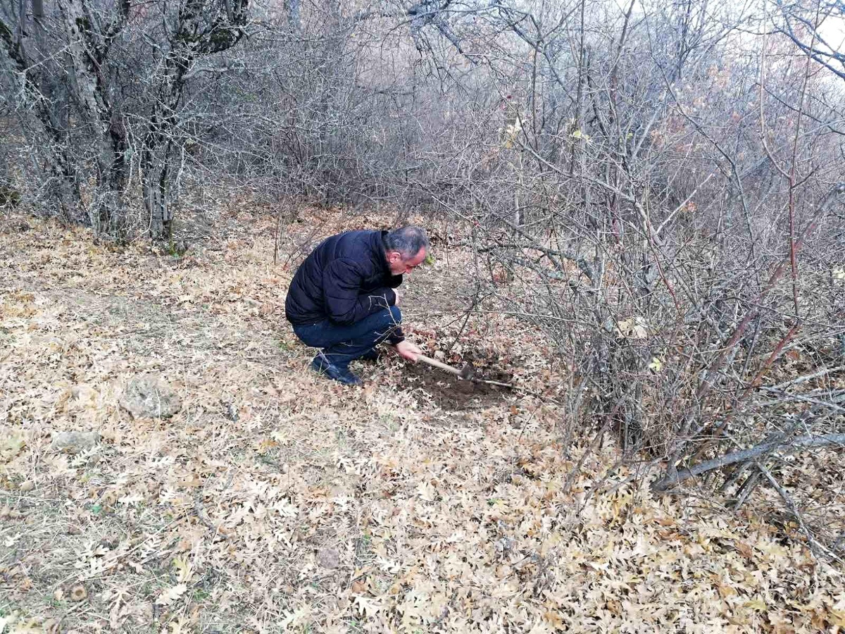 Afyonkarahisar\'da Faydalı ve Zararlı Organizma Tespiti Yapıldı
