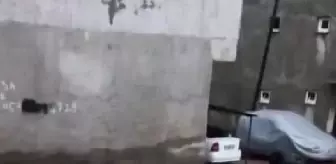 Çermik ilçesinde sağanak sonucu su baskınları yaşandı