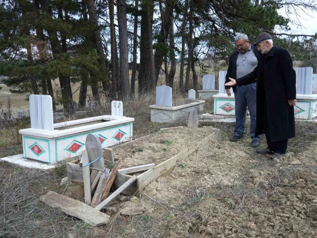 Kastamonu'da ayılar mezarlara dadandı! Vatandaşlar jiletli telle cenazelerini koruyor