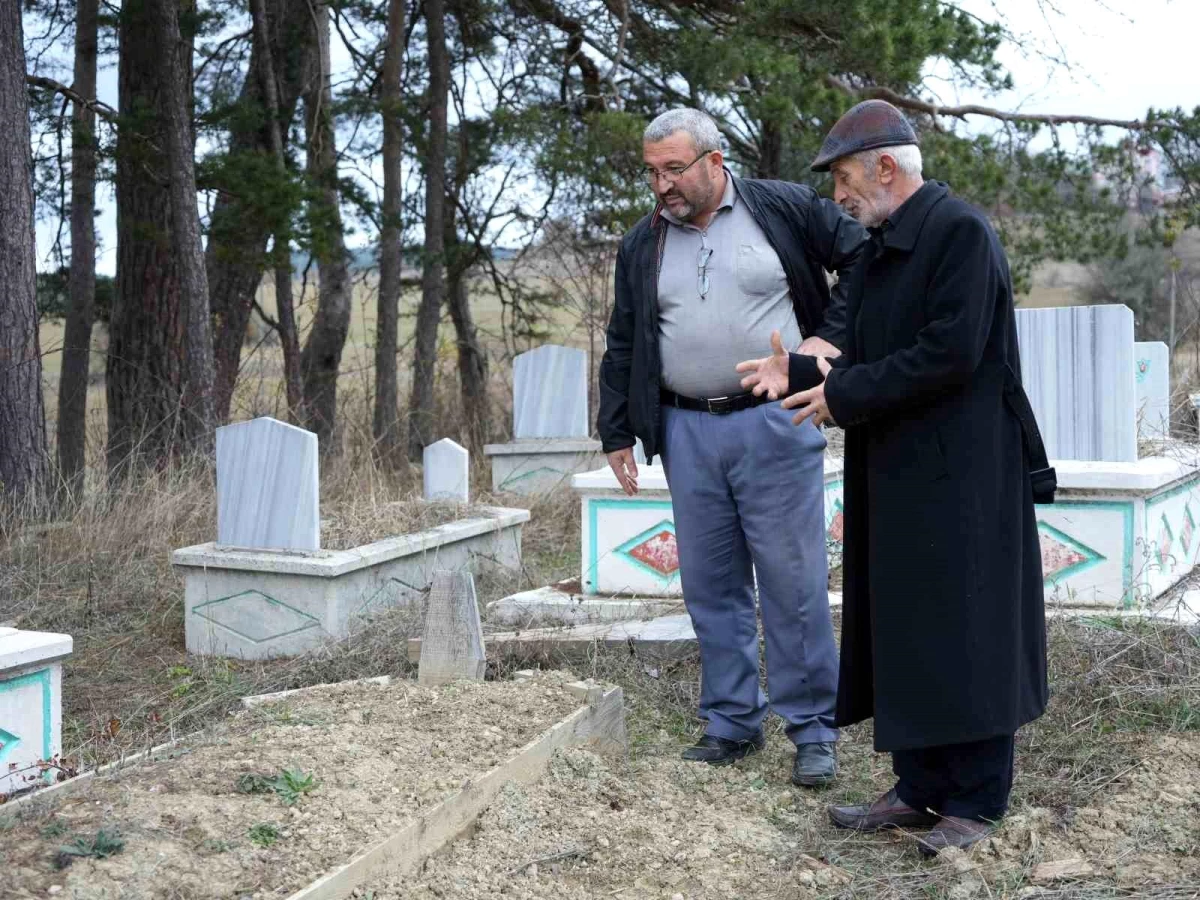 Kastamonu\'da ayılar mezarlara dadandı! Vatandaşlar jiletli telle cenazelerini koruyor