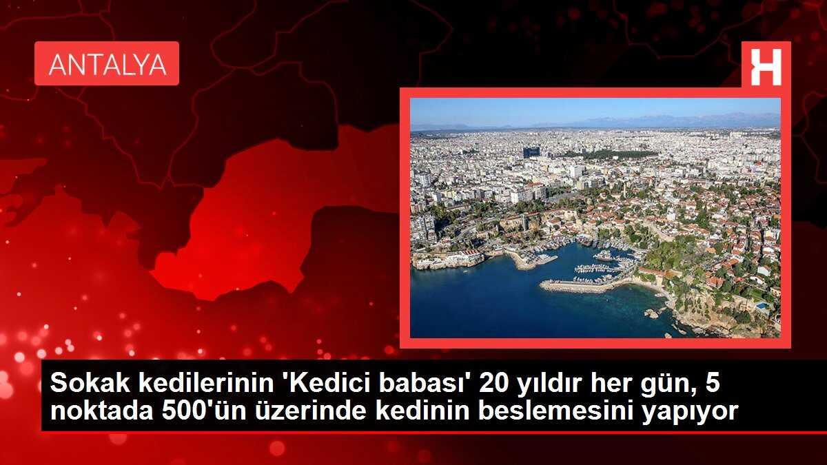 Sokak kedilerinin 'Kedici babası' 20 yıldır her gün, 5 noktada 500'ün üzerinde kedinin beslemesini yapıyor