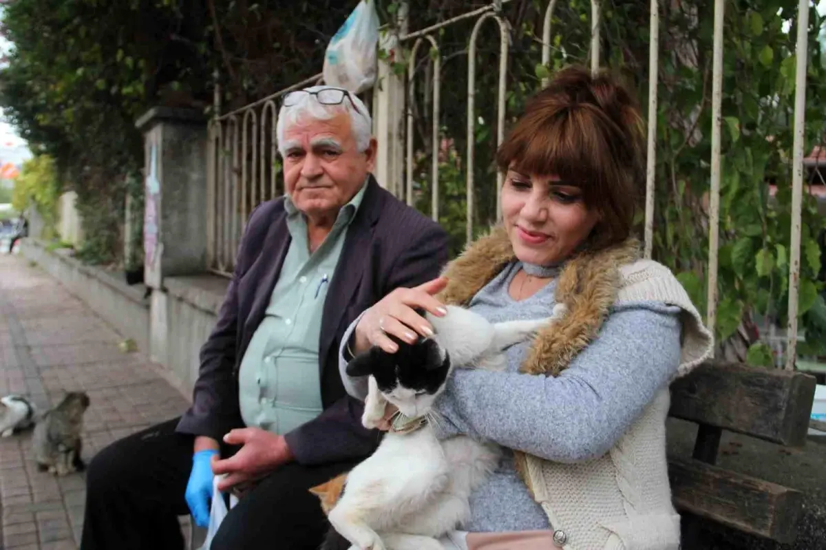 Antalya\'da 69 yaşındaki adam, 20 yıldır sokak hayvanlarını besliyor