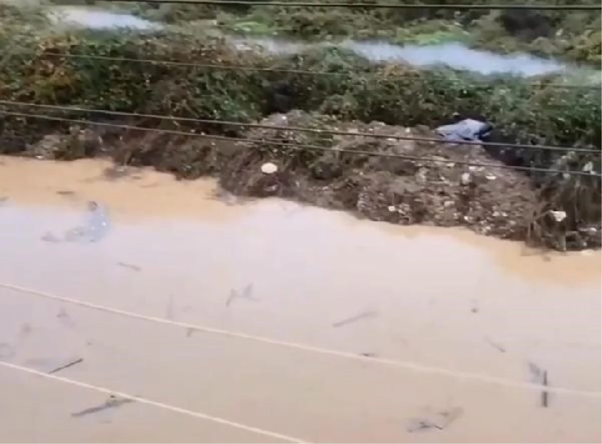 Yalova'da sel: 4 yavru köpek kurtarıldı