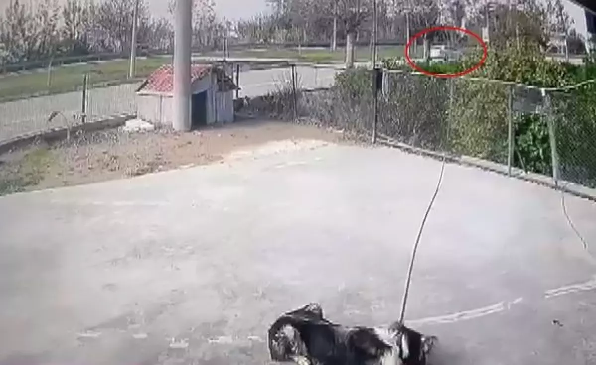 17 yaşındaki Saffet, babasının otomobiliyle yaptığı kazada öldü (2)