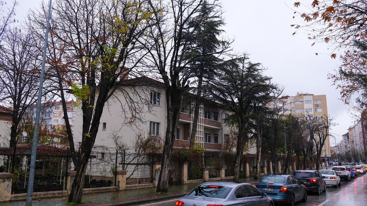 Eskişehir\'de ömrünü tamamlamış ağaçlar kaldırılıyor