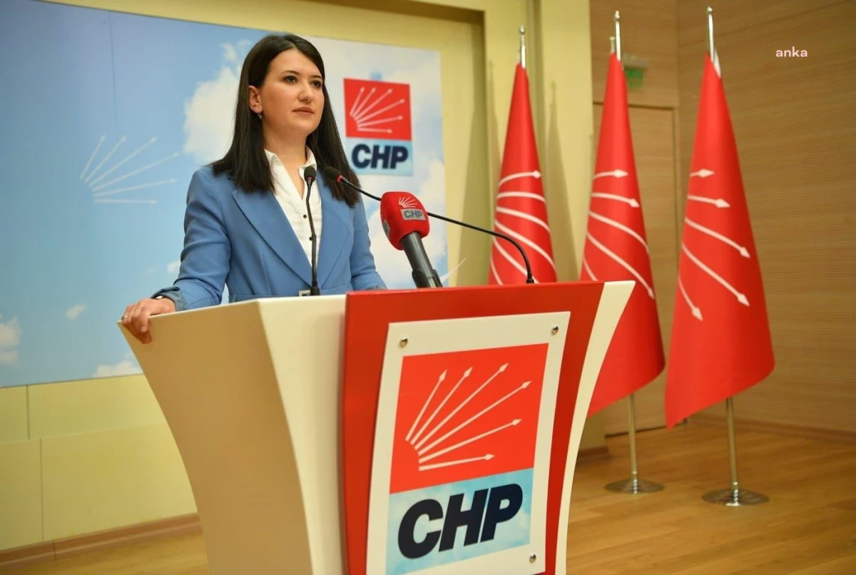 CHP Genel Başkan Yardımcısı Gökçe Gökçen\'den İnsan Hakları Günü Mesajı