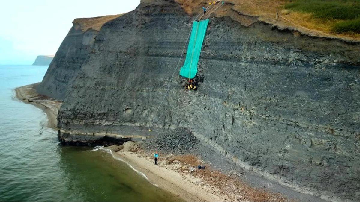 Devasa Deniz Canavarının Kafatası Jurassic Sahili\'nde Bulundu