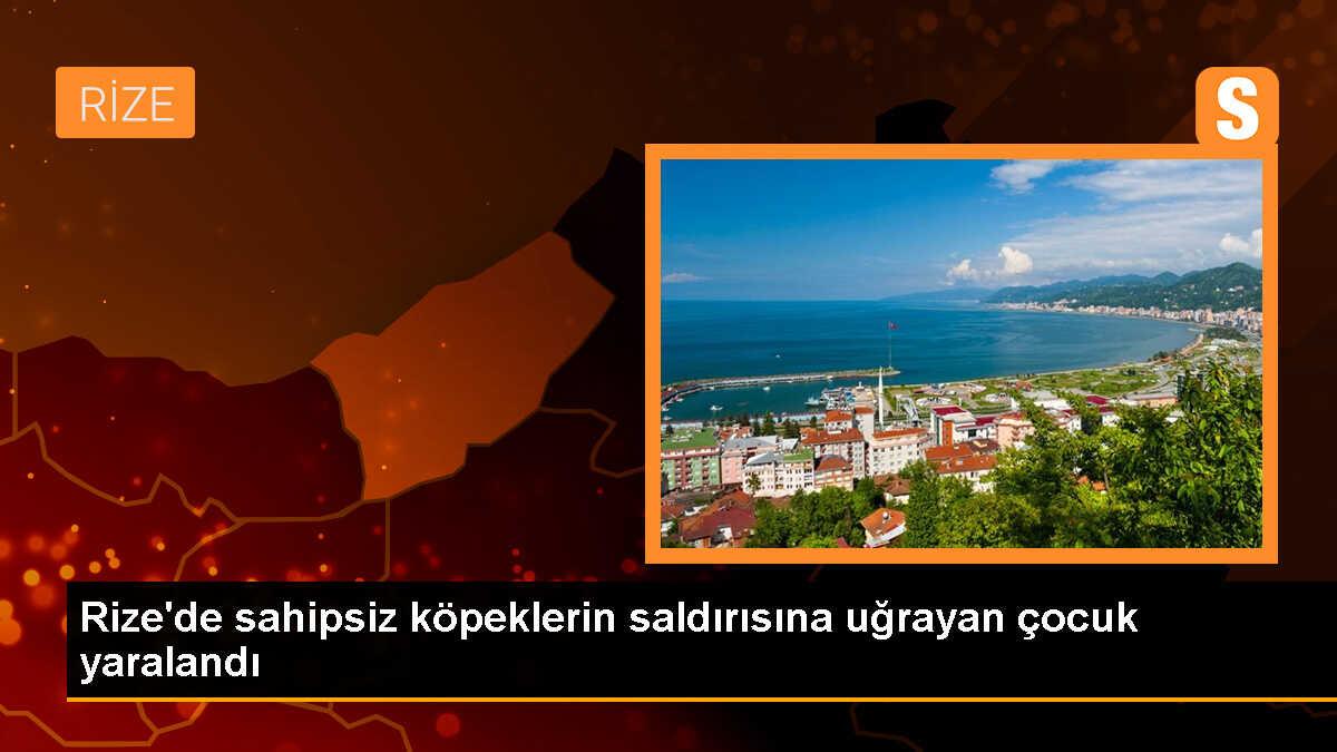 Rize\'de sahipsiz köpeklerin saldırısı sonucu yaralanan çocuk hastaneye kaldırıldı