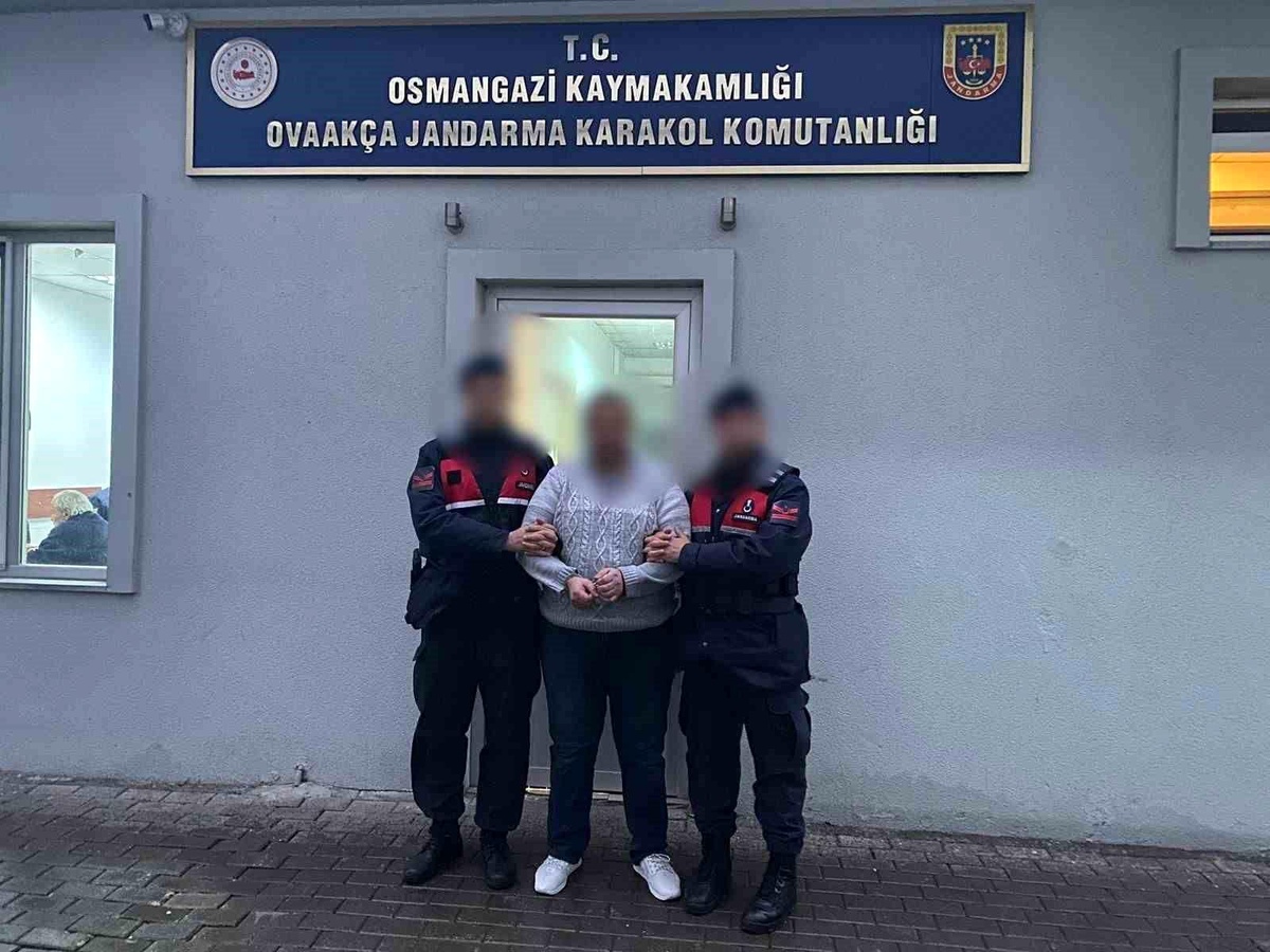 Bursa\'da jandarma tarihi eser kaçakçılarına operasyon düzenledi