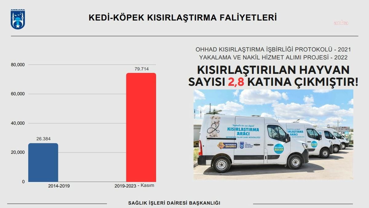ABB, 4,5 yılda 80 bine yakın sahipsiz hayvana kısırlaştırma işlemi uyguladı