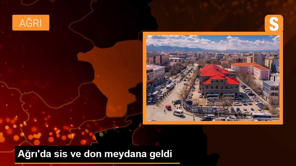 Ağrı\'da sis ve don meydana geldi