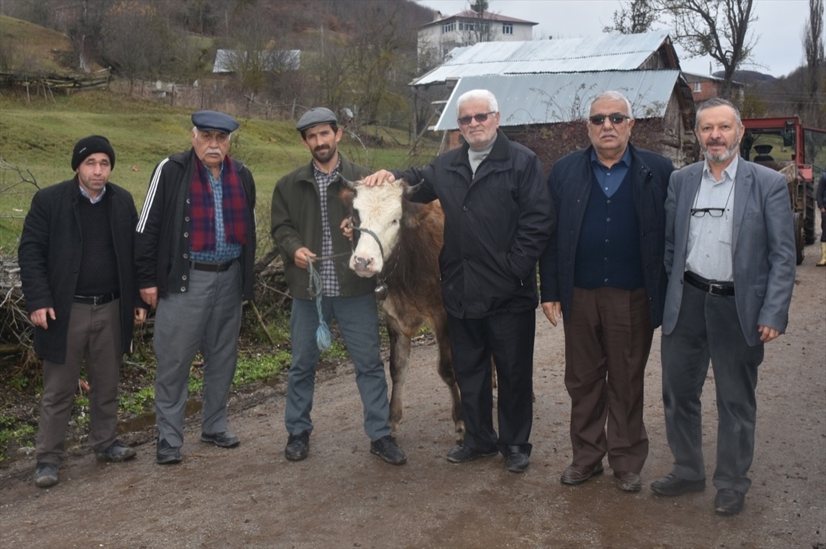 Köy Muhtarı, Huzurevi İnşaatına İneğini Bağışladı