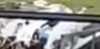 Tekirdağ'da Köpeğe Şiddet Uygulayan Kişiye Para Cezası