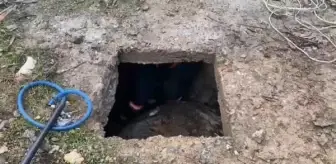Malatya'da Boş Kuyuya Düşen Yavru Köpek Kurtarıldı