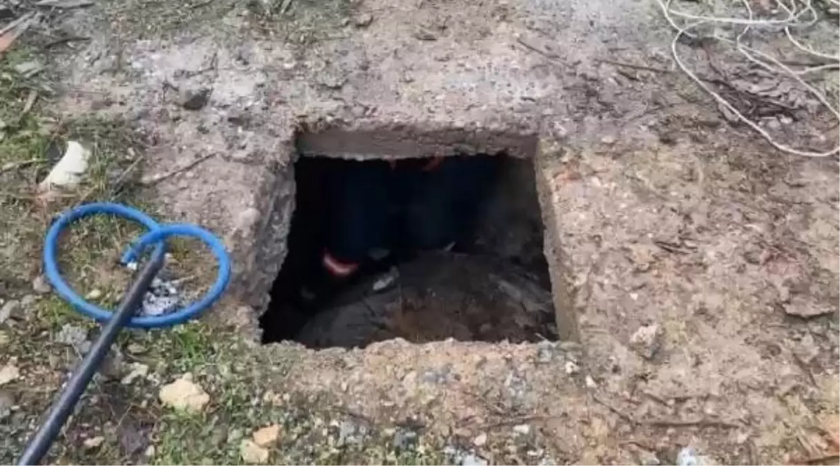 Malatya'da Boş Kuyuya Düşen Yavru Köpek Kurtarıldı