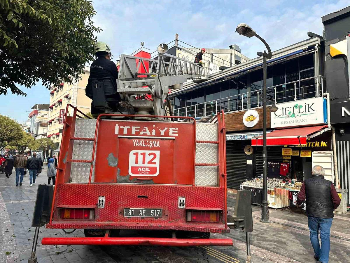 Düzce Belediyesi İtfaiye Ekipleri 3 Kediyi Kurtardı