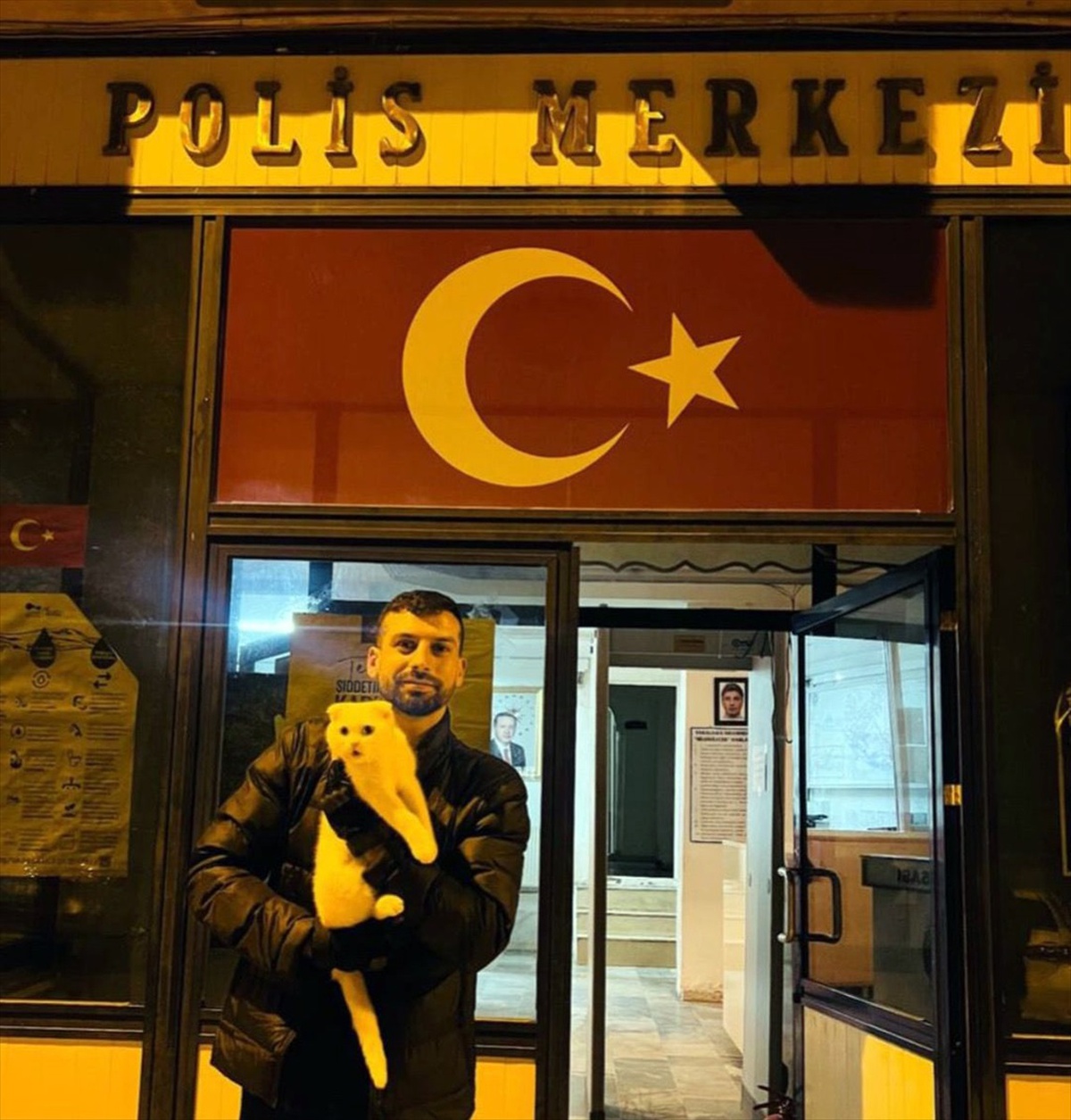 Mardin\'de Çalınan Kedi Polis Tarafından Bulundu