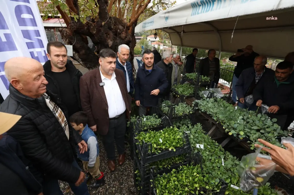 Menderes Belediyesi Üreticilere 10 Bin Adet Fide Dağıttı