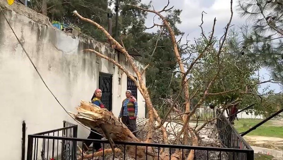 Osmaniye\'de aşırı yağış ve rüzgar sonucu evin üzerine çam ağacı devrildi