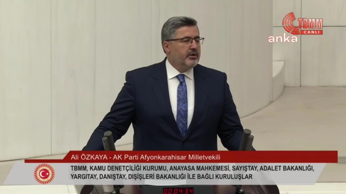 AKP Milletvekili Ali Özkaya, Anayasa Mahkemesi\'nin Meclis\'in iradesine tahakküm olduğunu söyledi