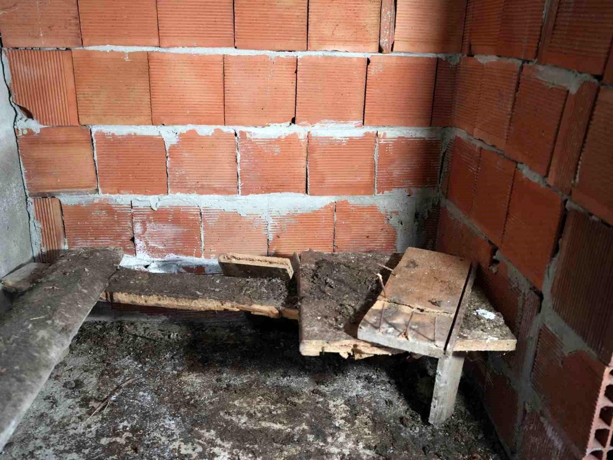 Ayı köydeki tavukları telef etti