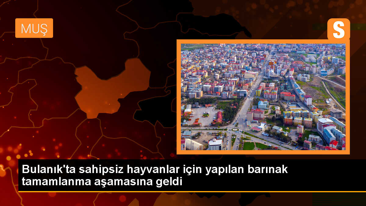 Bulanık\'ta sahipsiz hayvanlar için yapılan barınak tamamlanma aşamasına geldi