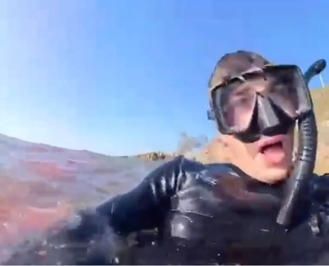 Avustralyalı genç, köpek balığının videosunun çektiği sırada balık bacağını kopardı