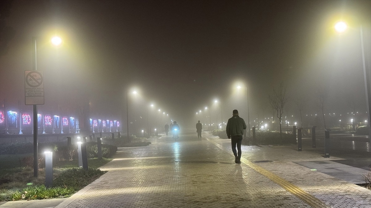 Edirne\'de yoğun sis hayatı olumsuz etkiliyor