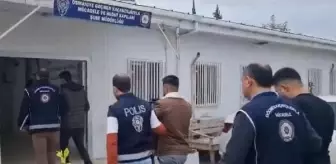 Osmaniye'de 12 kaçak göçmen yakalandı