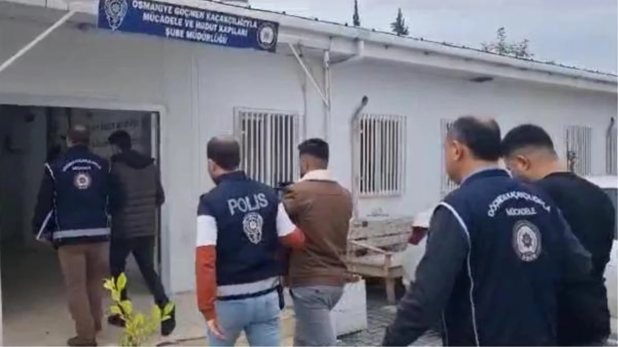 Osmaniye\'de 12 kaçak göçmen yakalandı