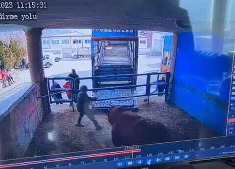Amasya'da Mezbaha Çalışanı Boğanın Saldırısı Sonucu Hayatını Kaybetti Amasya'da Mezbaha Çalışanı Boğanın Saldırısı Sonucu Hayatını Kaybetti