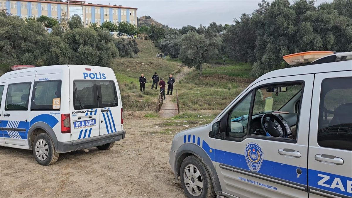 Aydın\'da 3 tilki ile 21 sahipsiz köpeğin zehirle öldürüldüğü iddiası üzerine inceleme başlatıldı