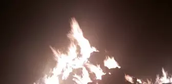 Bilecik'te saman balyaları yandı