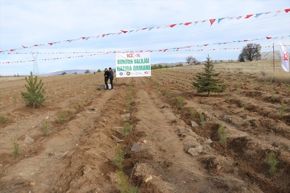 Burdur Valiliği, 100. Yıl Hatıra Ormanı\'nda bin fidan dikti