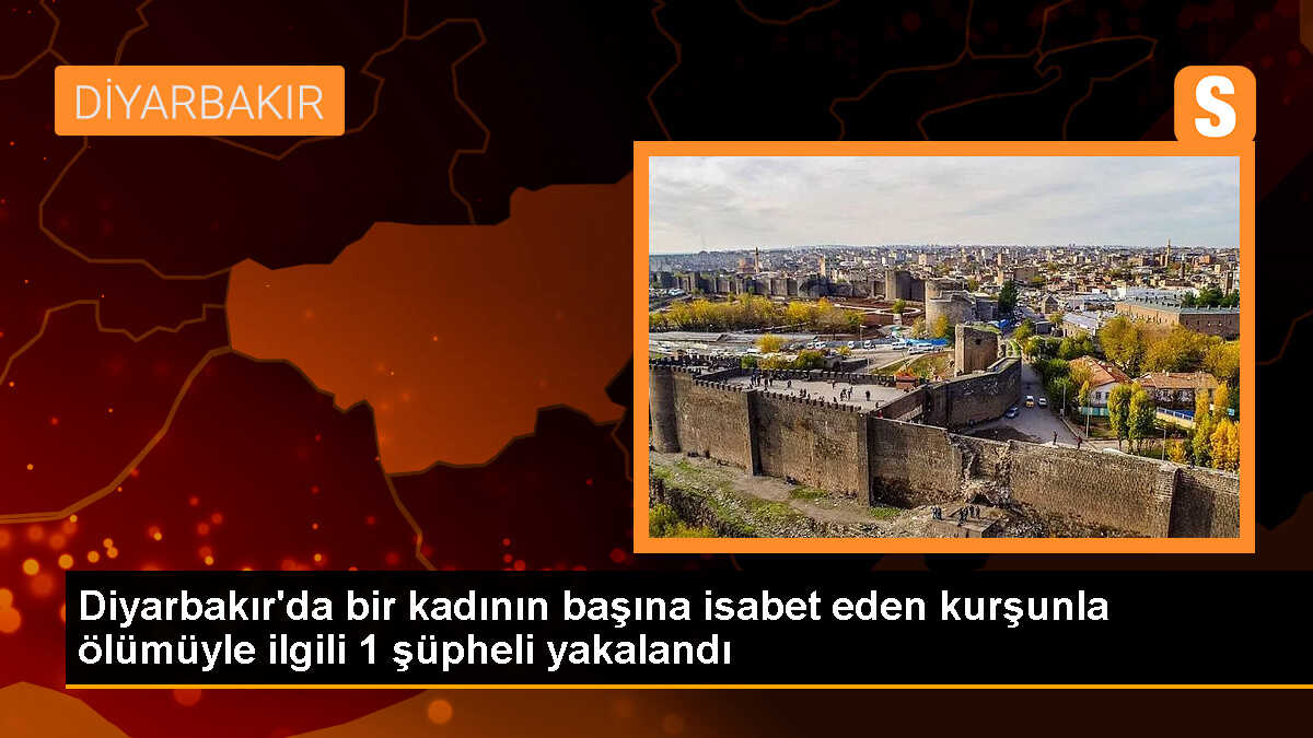 Diyarbakır\'da kadının evde ölümüyle ilgili şüpheli gözaltına alındı