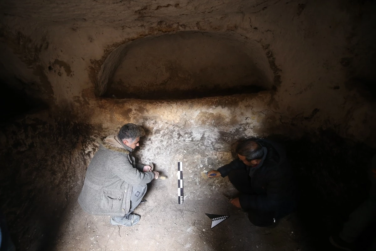 Mardin\'de Roma dönemine ait villa kalıntısında Anadolu leoparının çene kemikleri bulundu