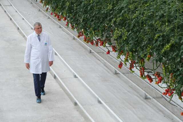 Sakarya, 'Dünya Tarım Şehri' Ünvanına Bir Adım Daha Yaklaştı