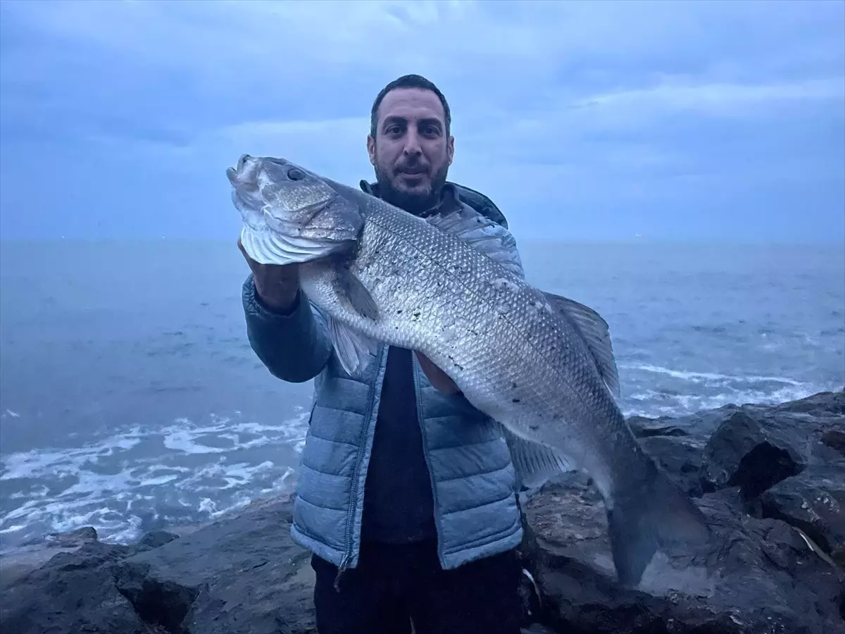 Akçakoca'da 8 Kilogramlık Dev Levrek Tutuldu