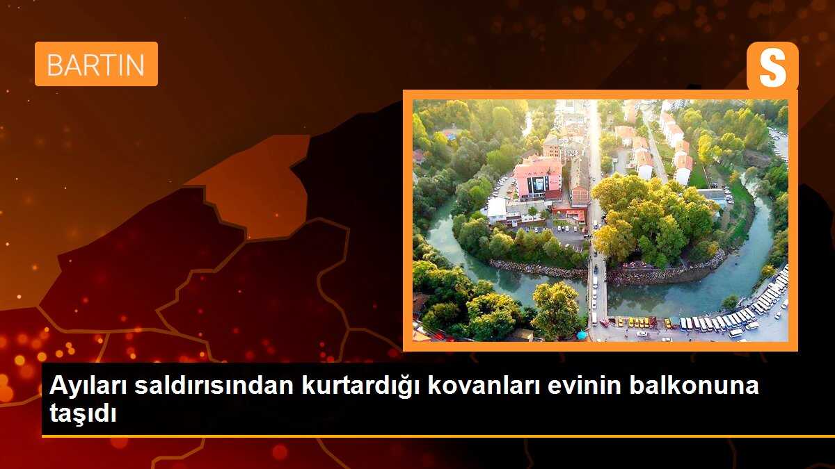 Ayıları saldırısından kurtardığı kovanları evinin balkonuna taşıdı